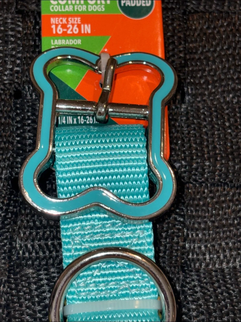 Vibrant Teal Padded Dog Collar with Bone-Shaped Buckle sz L